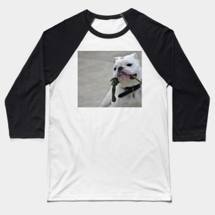 Brando Baseball T-Shirt